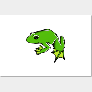 Frog Posters and Art